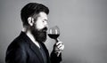 Sommelier, degustator with glass of red wine, winery, male winemaker. Beard man, bearded, sommelier tasting red wine Royalty Free Stock Photo