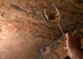 Sommelier enjoying the wine color in the old wine cellar Royalty Free Stock Photo