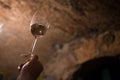 Sommelier enjoying the wine color in the old wine cellar Royalty Free Stock Photo