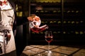 Sommelier holding a carafe with red wine and pouring wine into a glass. Wine vault location. Royalty Free Stock Photo