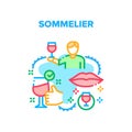 Sommelier Job Vector Concept Color Illustration