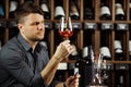 Sommelier looking at red wine glass with beverage Royalty Free Stock Photo