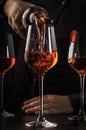 Sommelier pouring rose wine into glass at wine tasting in winery, bar or restaurant. Dark background Royalty Free Stock Photo