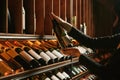 Sommelier Selecting Wine Bottle in Cellar Royalty Free Stock Photo