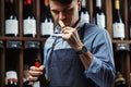 Sommelier smelling flavor of cork from red wine Royalty Free Stock Photo