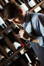 Sommelier smelling flavor of cork from red wine Royalty Free Stock Photo
