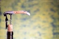 Sommelier or waiter knife pulls out a cork from the bottle of wine. Blurred background space for text Royalty Free Stock Photo