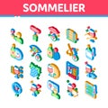 Sommelier Wine Tasting Isometric Icons Set Vector