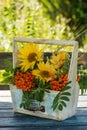 Sun flower bouquet with rose hips Royalty Free Stock Photo