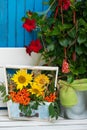 Sun flower bouquet with rose hips Royalty Free Stock Photo