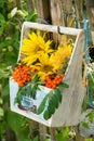 Sun flower bouquet in a wooden box Royalty Free Stock Photo