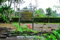 Son My, Vietnam - March 23, 2016: The My Lai Massacre memorial site. The My Lai massacre was the Vietnam War mass killing