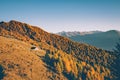 Sondrio - Valtellina IT - Autumn sunset Royalty Free Stock Photo