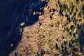 Sondrio - Valtellina IT - Autumnal aerial view of Alpe Colina Royalty Free Stock Photo