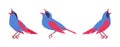 Songbird red and blue set, beautiful singing little musical birds