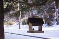 chickadee eats sunflower seeds in the feeder in winter Royalty Free Stock Photo