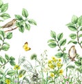 Songbirds on Branches and Wildflowers