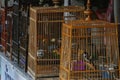 Songbirds in cages, Thailand Royalty Free Stock Photo