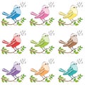 Songbirds Colorful Singing Birds Royalty Free Stock Photo