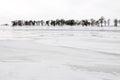 Songhua River in snow Royalty Free Stock Photo