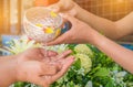 Songkran festival sign of Thailand : Hand of young people pour water, flowers on older. Thais celebrate Songkran in new year water Royalty Free Stock Photo