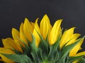 Sonnenblumen Royalty Free Stock Photo