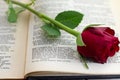 Sonnet 18 with red rose Royalty Free Stock Photo