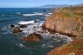 Sonoma County Coast Bodega Bay CA Royalty Free Stock Photo