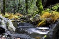 Sonoma Creek flowing through Enchanted Forrest at Sugarloaf Ridge State Park, California