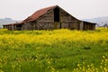 Sonoma Valley Barn Royalty Free Stock Photo