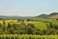 Sonoma Valley Ca Royalty Free Stock Photo