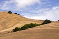 Sonoma Valley California Gold Hills and Trees Royalty Free Stock Photo