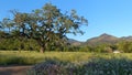 Sonoma Valley Hills and Valley floor