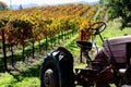 Sonoma vineyard Royalty Free Stock Photo