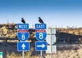 SONORA, ARIZONA: The traffic signs in Arizona-Sonora Desert Royalty Free Stock Photo