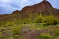 Sonora Desert Arizona Picacho Peak State Park