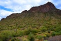 Sonora Desert Arizona Picacho Peak State Park