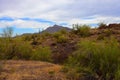 Sonora Desert Arizona Picacho Peak State Park