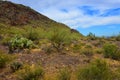 Sonora Desert Arizona Picacho Peak State Park