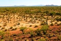 Sonora Desert Arizona