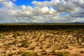 Sonora Desert Arizona