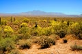 Sonora Desert Arizona