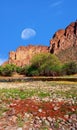 Sonora Desert Gibbous Moon