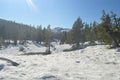 Sonora Pass Completely Snowy With Some Impressive Views Of Yosemite National Park. Nature Travel Holidays. June 29, 2017. Royalty Free Stock Photo