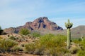 Sonoran Desert Royalty Free Stock Photo