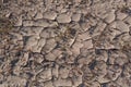 Sonoran Desert cracked ground background