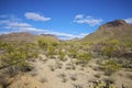 Sonoran Desert Landscape Royalty Free Stock Photo