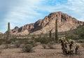 Kofa National Wildlife Refuge, western Arizona Royalty Free Stock Photo