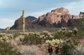 Sonoran Desert landscape, western Arizona Royalty Free Stock Photo