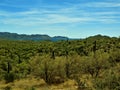 Arizona landscape and manmade lake Royalty Free Stock Photo